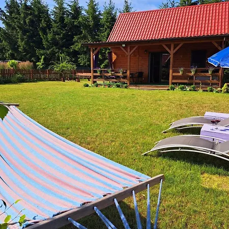 Lawendowy Mazury * ريدزيفو